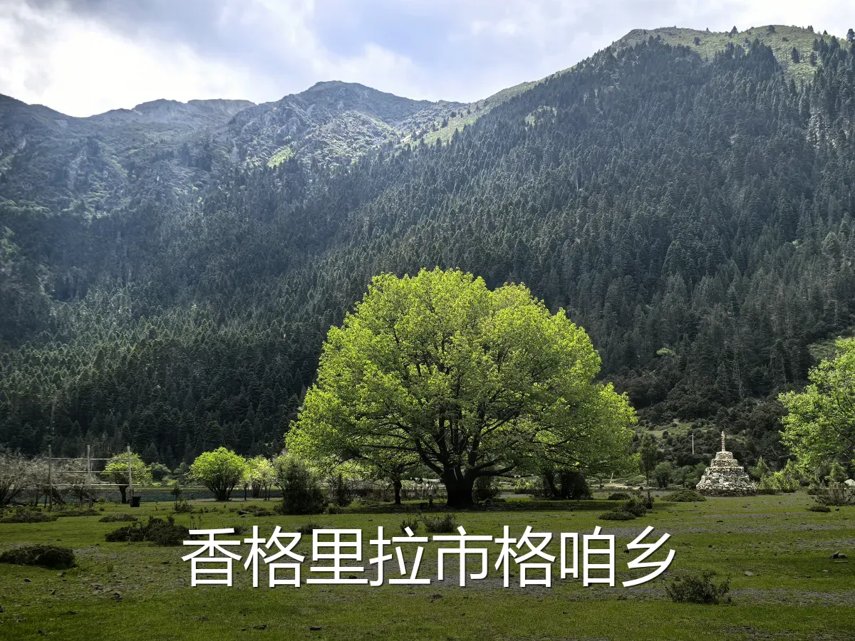 香格里拉市格咱乡