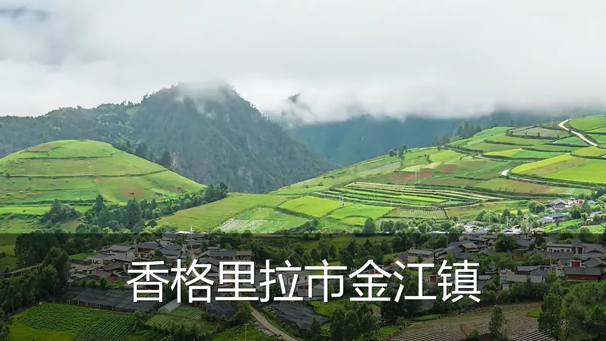 香格里拉市金江镇